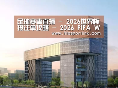 案例展示四