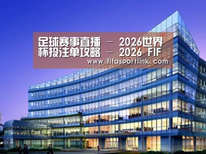 案例展示五