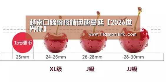 越南口蹄疫疫情迅速蔓延【2026世界杯】(图1) 世界杯买球网站