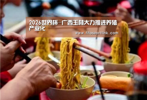 2026世界杯