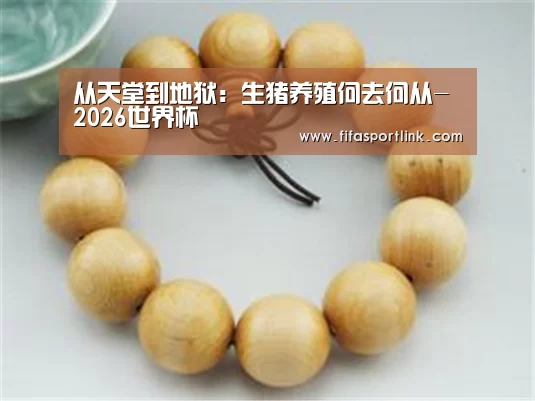 世界杯买球网站