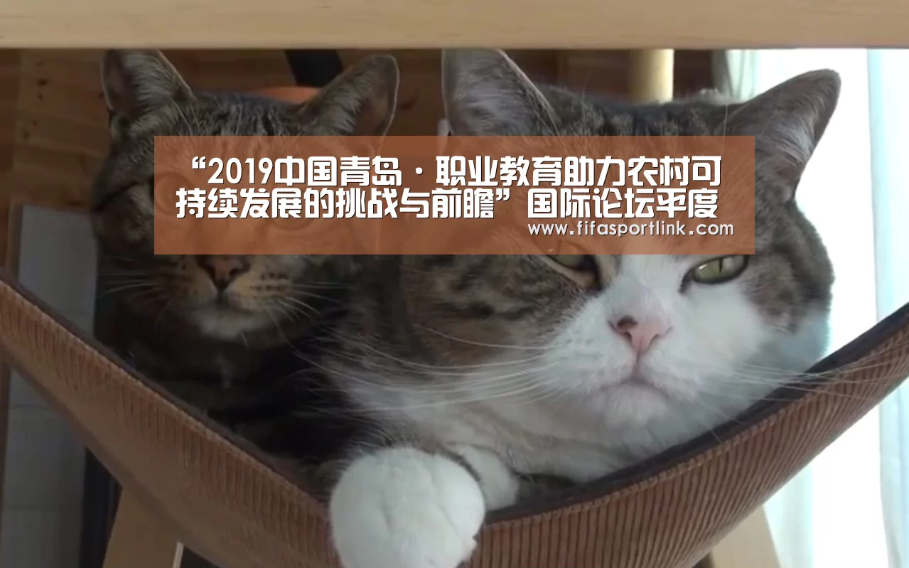 世界杯买球网站