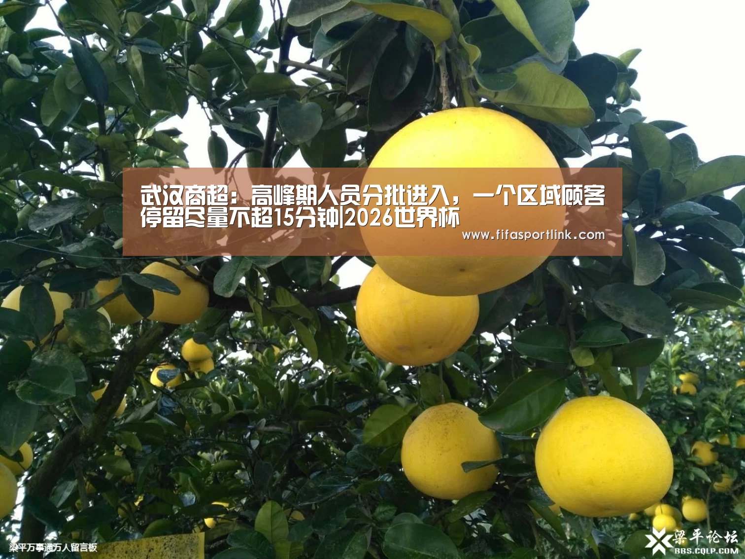 世界杯外围买球